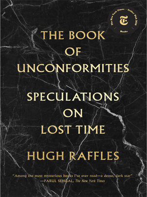 cover image of The Book of Unconformities